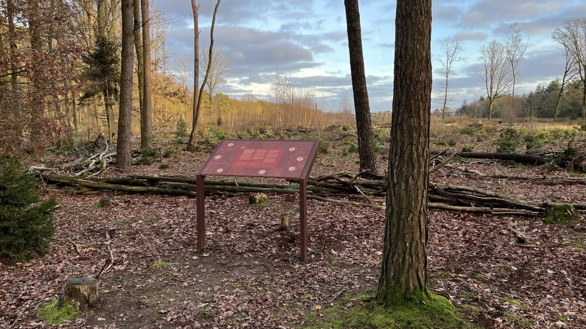 alexandra crouwers, the plot, lierop, someren, strabrechtse heide, moorsel, artistiek onderzoek, art, kunst, kunstproject